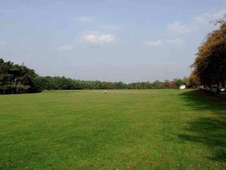 Spacious 4 Bed Rooms, Parking, Garden And Near Parks, Beaches And University บอร์นมัธ ภายนอก รูปภาพ